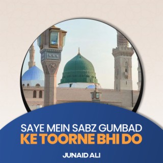 Saye Mein Sabz Gumbad Ke Toorne Bhi Do