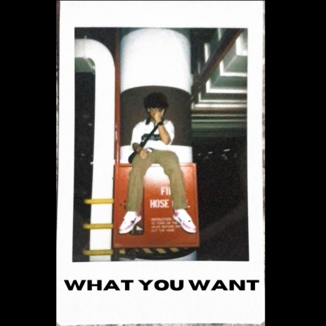 what you want | Boomplay Music