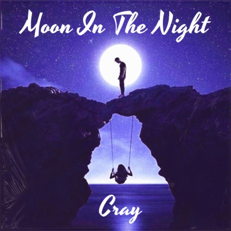 Moon in the Night | Boomplay Music