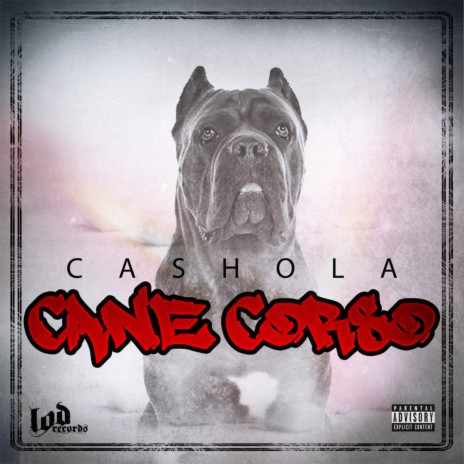 Cane Corso | Boomplay Music