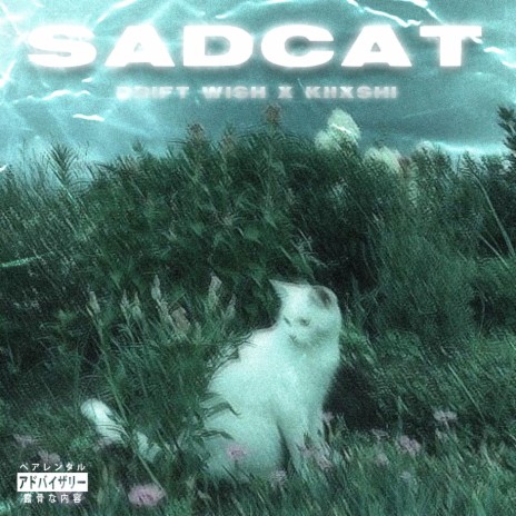 SADCAT ft. KIIXSHI | Boomplay Music