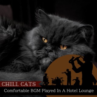 Comfortable BGM Played In A Hotel Lounge