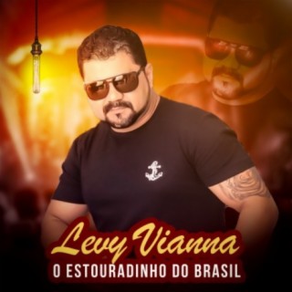 Levy Vianna