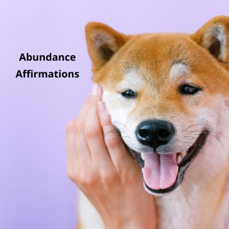 Abundance Affirmations Jamie | Boomplay Music