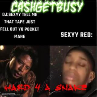 HARD 4 A SNAKE