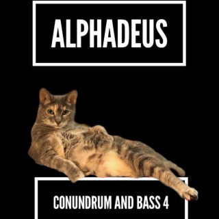 Conundrum and Bass 4