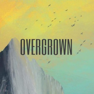 Overgrown lyrics | Boomplay Music