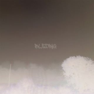 Bleding