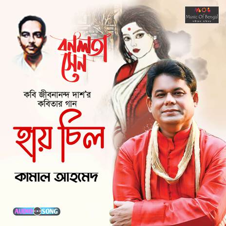 Hay Chil Sonali Danar Chil | Boomplay Music