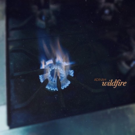 Wildfire ft. Jesse Barrera & Patrick Hizon | Boomplay Music