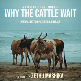 Why The Cattle Wait (Original Motion Picture Soundtrack)