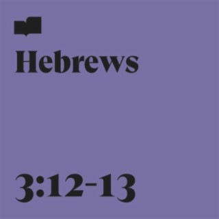 Hebrews 3:12-13