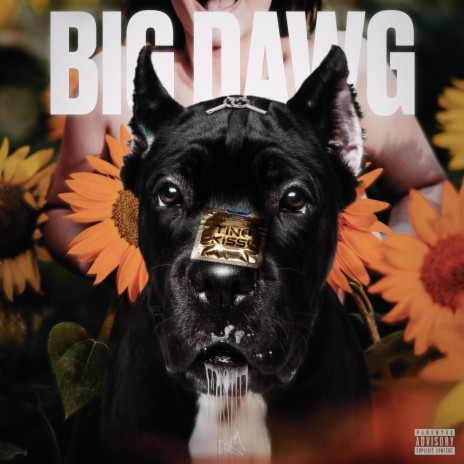 BIG DAWG | Boomplay Music