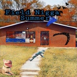 Field Negro Summer