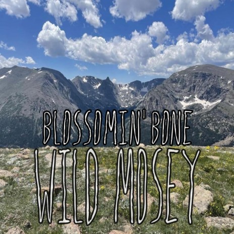 Wild Mosey | Boomplay Music