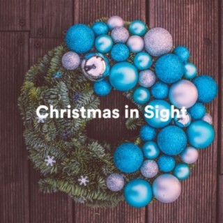 Christmas in Sight