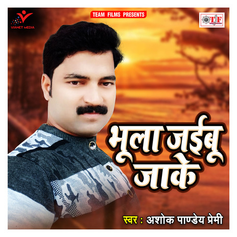 Bhula Jaibu Jake | Boomplay Music