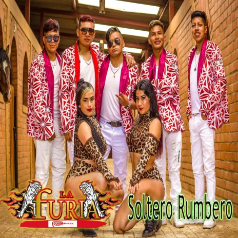 Soltero Rumbero | Boomplay Music