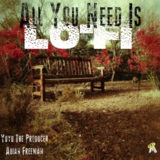 All You Need Is Lo-Fi