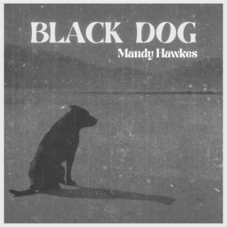 Black Dog