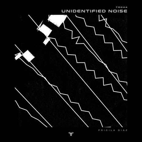 Unidentified Noise | Boomplay Music