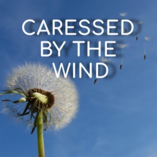 Caressed by the Wind