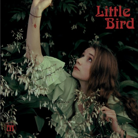 Little Bird | Boomplay Music