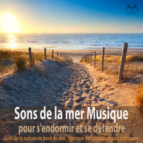 Sons de la Mer : Dormir Au Bord de la Mer, Partie 4 ft. Torsten Abrolat & SyncSouls | Boomplay Music