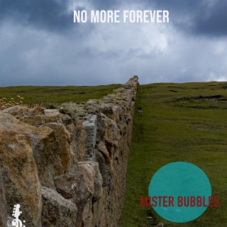 No More Forever lyrics | Boomplay Music