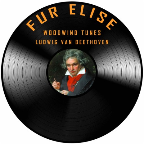 Fur Elise (Flute Version) | Boomplay Music