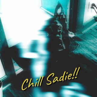 Chill Sadie!! | Boomplay Music
