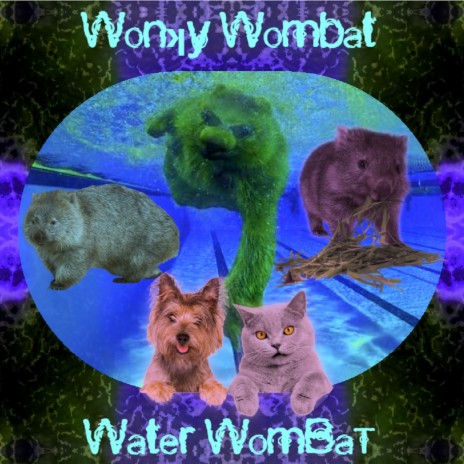 Water Wombat | Boomplay Music