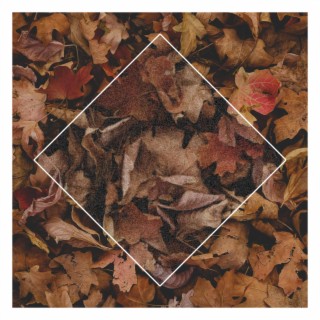 Falling Leaves