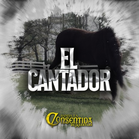 EL CANTADOR | Boomplay Music