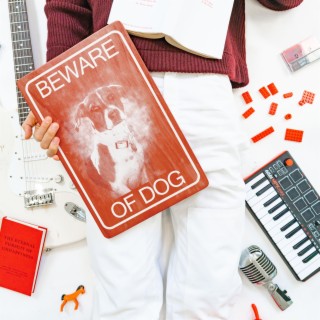 Beware of Dog lyrics | Boomplay Music