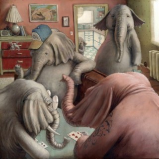 Elephants In The Room