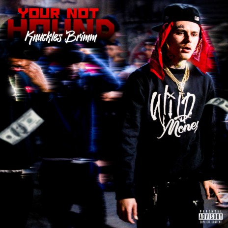 Your Not Hound | Boomplay Music