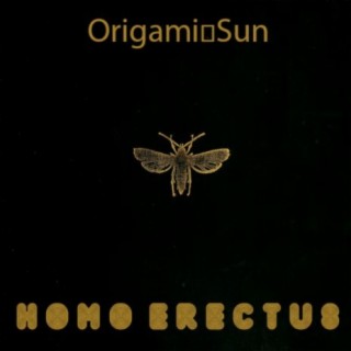 Origami Sun