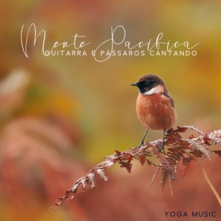 Mente Pacífica: Música de Guitarra Relaxante com Fundo de Pássaros Cantando para Relaxamento e Meditação