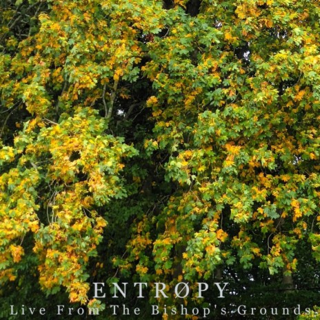 Entrøpy (Live From The Bishop's Grounds)