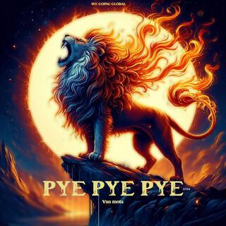 PYE PYE PYE (BURN) lyrics | Boomplay Music