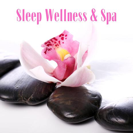 Mist of Relaxation ft. Wellness!, Spa Music!, Spa Sleep & Spa Music Paradise | Boomplay Music