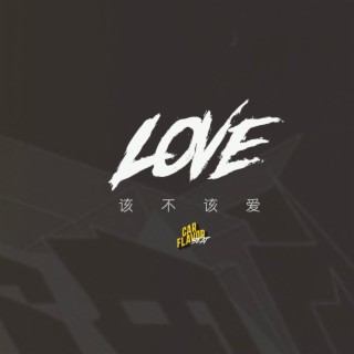 該不該愛（LOVE） lyrics | Boomplay Music