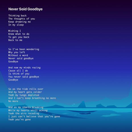 Never Said Goodbye | Boomplay Music