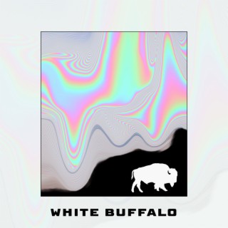 White Buffalo