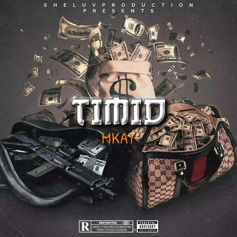 Timid | Boomplay Music