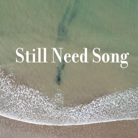 Still Need Song | Boomplay Music