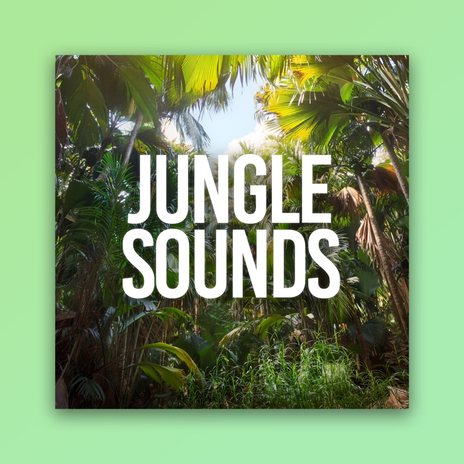 Deep Down The Jungle ft. Nature Recordings | Boomplay Music