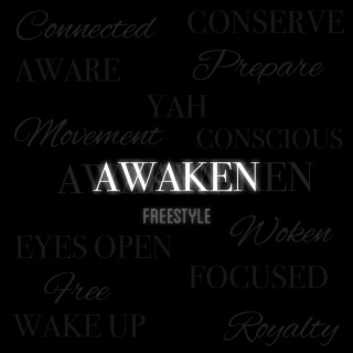 Awaken Freestyle ft. Brad Heru lyrics | Boomplay Music