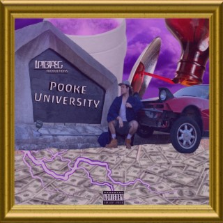 Pooke University